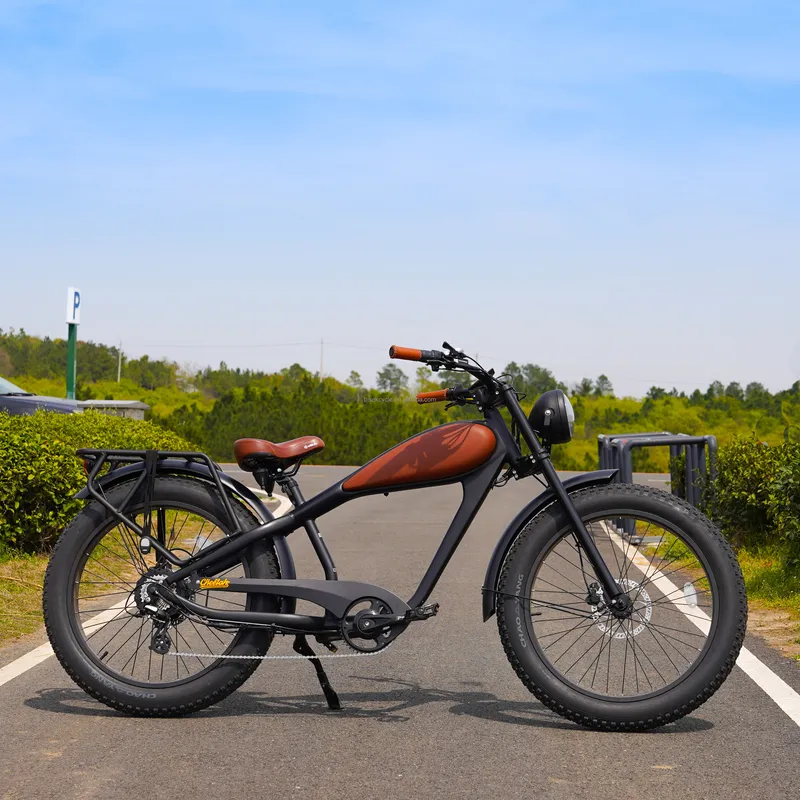 จักรยานไฟฟ้าวินเทจ OEM 750W รุ - Road Bike Tire บทวิจารณ์และราคา