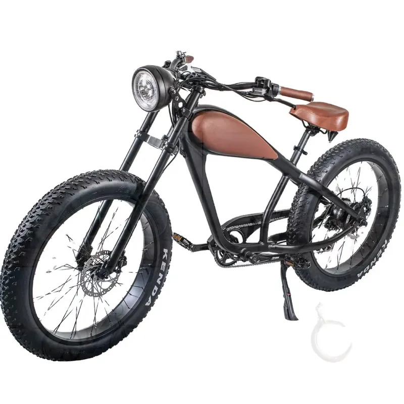 จักรยานไฟฟ้าวินเทจ OEM 750W รุ - Road Bike Tire บทวิจารณ์และราคา